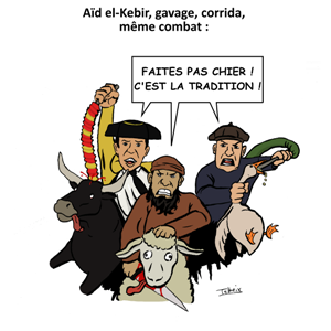 Aïd el-Kebir, gavage, corrida