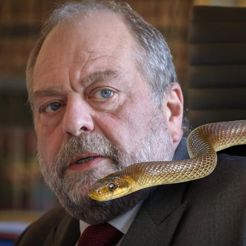 Dupond-Moretti garde des sceaux